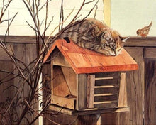 Laden Sie das Bild in den Galerie-Viewer, Malen nach Zahlen Erwachsene Liegende Katze Figured&#39;Art