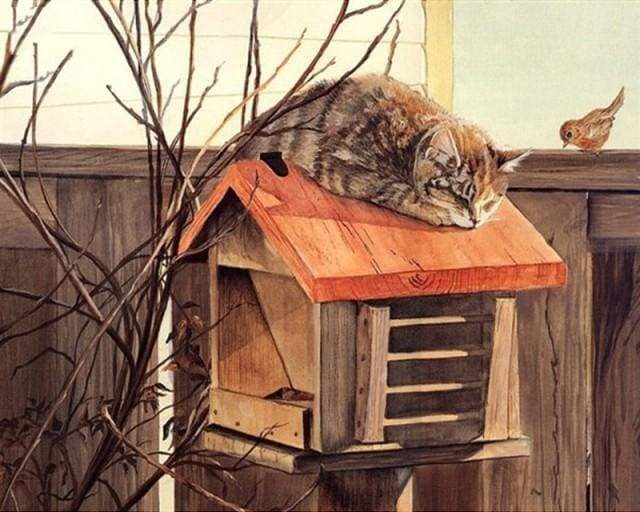 Malen nach Zahlen Erwachsene Liegende Katze Figured'Art