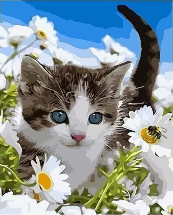 Malen nach Zahlen fŸr Erwachsene |ÊWildkatze | Figured'Art