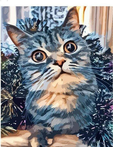 Malen nach Zahlen fŸr Erwachsene |ÊKatze mit Stil | Figured'Art