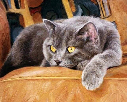 Malen nach Zahlen fŸr Erwachsene |ÊKatze auf dem Sofa | Figured'Art