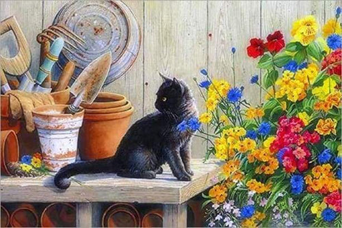 Malen nach Zahlen fŸr Erwachsene |ÊKätzchen im Garten | Figured'Art