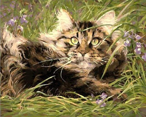 Malen nach Zahlen fŸr Erwachsene |ÊKätzchen im Gras | Figured'Art