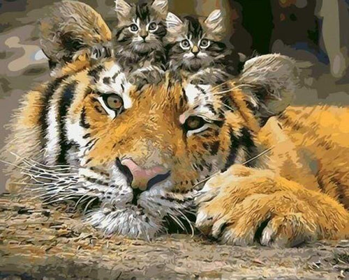 Malen nach Zahlen fŸr Erwachsene |ÊKätzchen und Tiger | Figured'Art