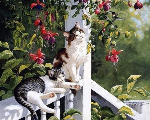 Malen nach Zahlen fŸr Erwachsene |ÊKatzen und Kolibri | Figured'Art
