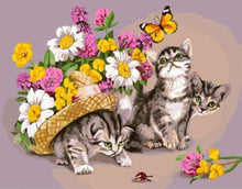 Laden Sie das Bild in den Galerie-Viewer, Malen nach Zahlen fŸr Erwachsene |ÊSpielende Katze mit Schmetterling | Figured&#39;Art