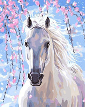 Laden Sie das Bild in den Galerie-Viewer, Malen nach Zahlen fŸr Erwachsene |ÊPferd und weiße Blumen | Figured&#39;Art