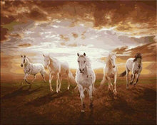 Laden Sie das Bild in den Galerie-Viewer, Malen nach Zahlen fŸr Erwachsene |ÊWeiße Pferde im Galopp | Figured&#39;Art