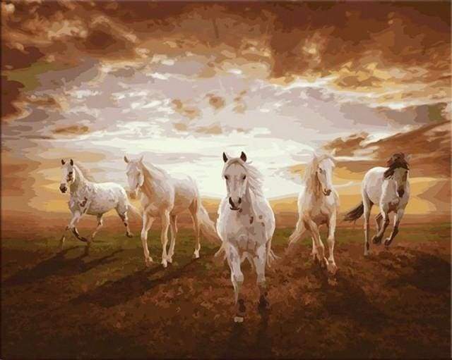 Malen nach Zahlen fŸr Erwachsene |ÊWeiße Pferde im Galopp | Figured'Art
