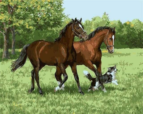 Malen nach Zahlen fŸr Erwachsene |ÊPferde und Hunde in der Prairie | Figured'Art