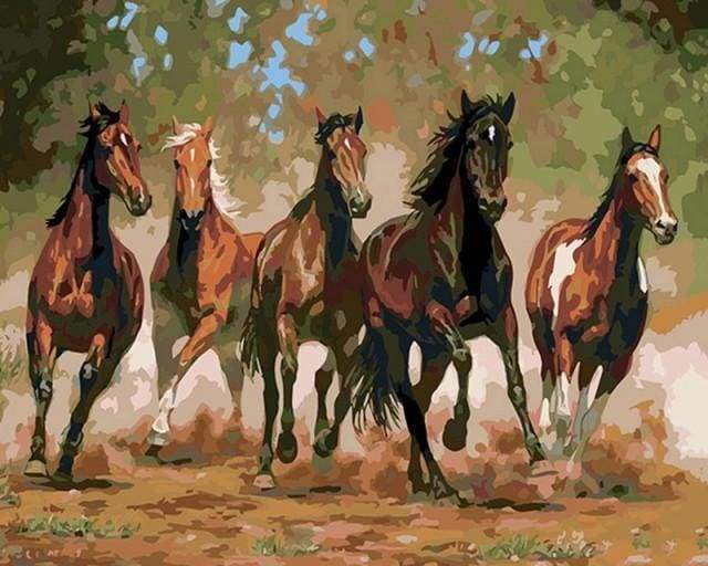 Malen nach Zahlen fŸr Erwachsene |ÊPferde im Galopp | Figured'Art