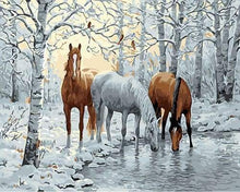 Laden Sie das Bild in den Galerie-Viewer, Malen nach Zahlen fŸr Erwachsene |ÊZwei braune und ein weißes Pferd | Figured&#39;Art