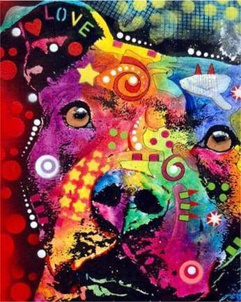 Malen nach Zahlen fŸr Erwachsene |ÊBunter Hund abstrakt | Figured'Art