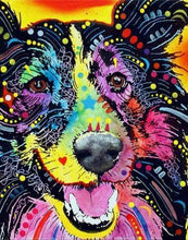 Laden Sie das Bild in den Galerie-Viewer, Malen nach Zahlen fŸr Erwachsene |ÊBunter lächelnder Hund | Figured&#39;Art