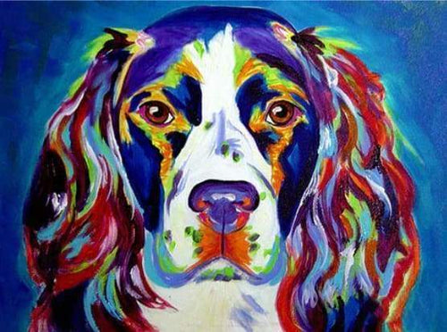 Malen nach Zahlen fŸr Erwachsene |ÊFarbiger Hund | Figured'Art