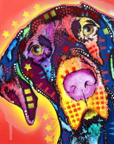 Malen nach Zahlen fŸr Erwachsene |ÊHund und Sterne | Figured'Art