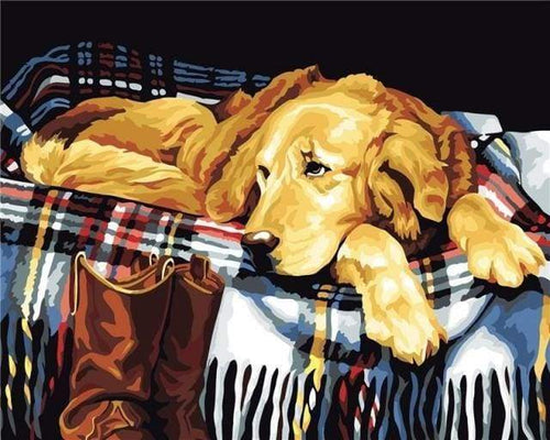 Malen nach Zahlen fŸr Erwachsene |ÊFauler Hund | Figured'Art