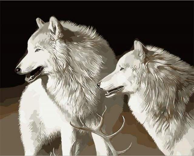Malen nach Zahlen fŸr Erwachsene |ÊWeiße Hunde | Figured'Art