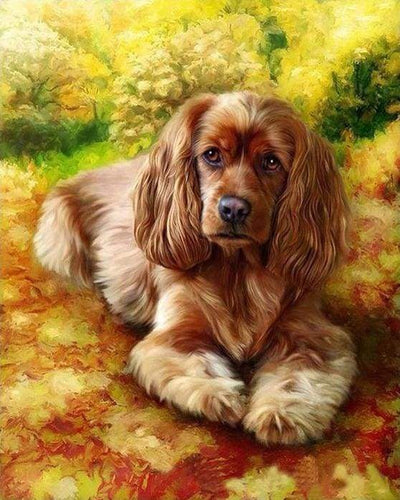 Malen nach Zahlen fŸr Erwachsene |ÊGolden Retriever Welpe | Figured'Art