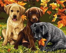 Laden Sie das Bild in den Galerie-Viewer, Malen nach Zahlen fŸr Erwachsene |ÊWelpen und Herbstlaub | Figured&#39;Art