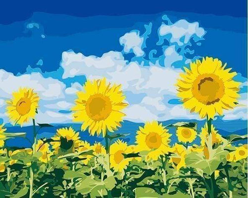 Malen nach Zahlen fŸr Erwachsene |ÊSonnenblumen und blauer Himmel | Figured'Art
