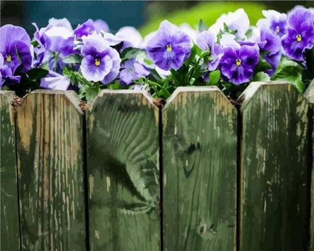 Malen nach Zahlen fŸr Erwachsene |ÊZaun mit Blumen | Figured'Art