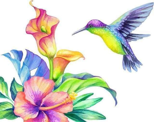 Malen nach Zahlen fŸr Erwachsene |ÊKolibri und Blumen | Figured'Art