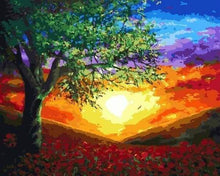Laden Sie das Bild in den Galerie-Viewer, Malen nach Zahlen fŸr Erwachsene |ÊStrahlender Sonnenuntergang | Figured&#39;Art