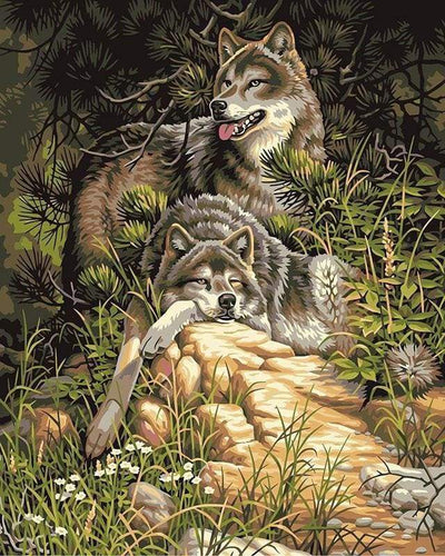 Malen nach Zahlen fŸr Erwachsene |ÊWolfspärchen 3 | Figured'Art