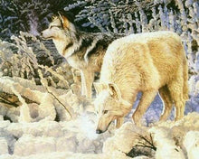 Laden Sie das Bild in den Galerie-Viewer, Malen nach Zahlen fŸr Erwachsene |ÊWeisses Wolfpaar | Figured&#39;Art