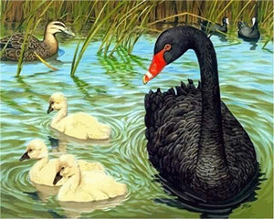Malen nach Zahlen fŸr Erwachsene |ÊSchwarzer Schwan | Figured'Art