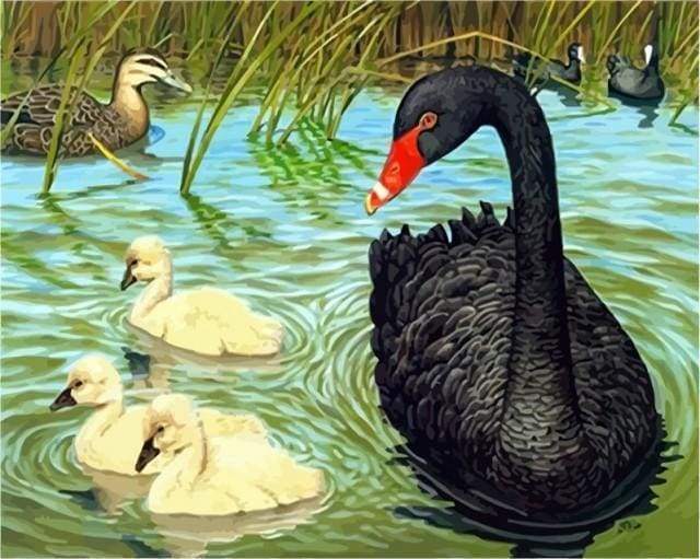 Malen nach Zahlen fŸr Erwachsene |ÊSchwarzer Schwan | Figured'Art