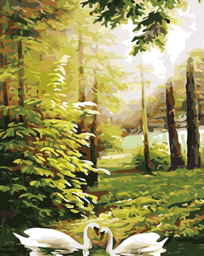 Malen nach Zahlen fŸr Erwachsene |ÊSchwäne in der Nähe von Wald | Figured'Art