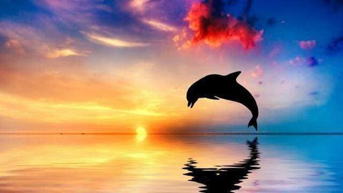 Malen nach Zahlen fŸr Erwachsene |ÊDelfin am Sonnenuntergang | Figured'Art