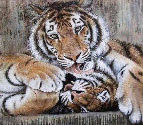 Malen nach Zahlen fŸr Erwachsene |ÊZwei Tigerköpfe | Figured'Art