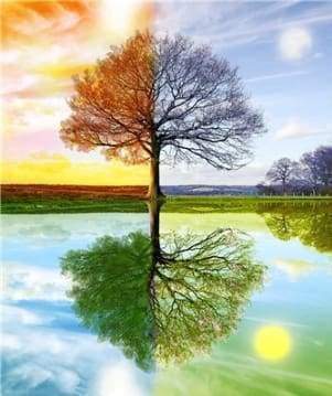 Diamond Painting, 4 Jahreszeiten Baum 2