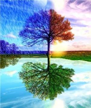 Diamond Painting, 4 Jahreszeiten Baum