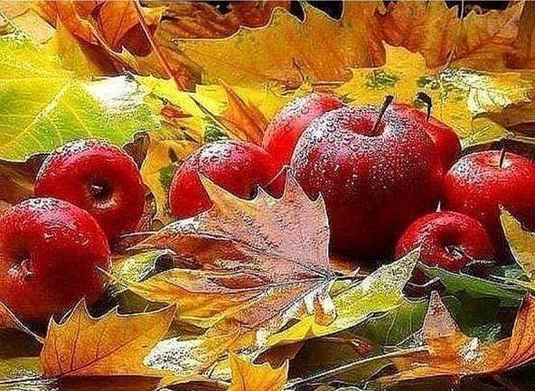 Diamond Painting, Äpfel im Herbst