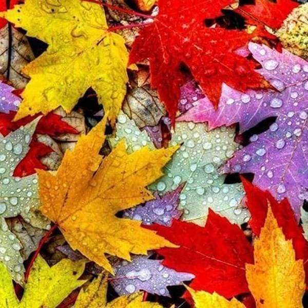 Diamond Painting, Herbstblätter