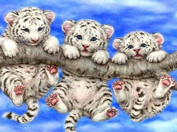 Diamond Painting, Kleine weiße Tiger