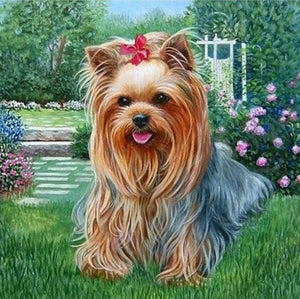 Diamond Painting, Bichon Malteser Hund