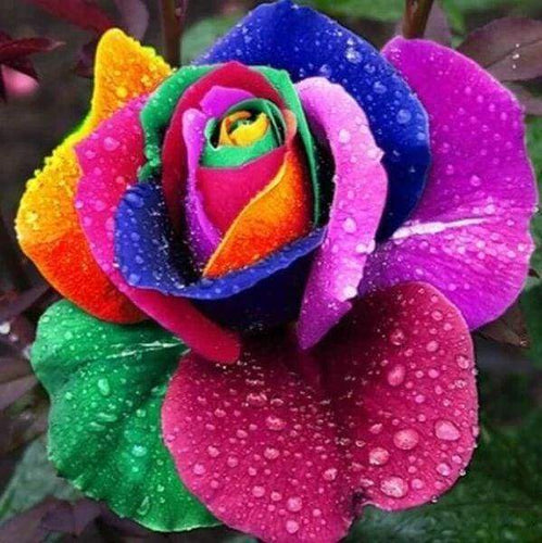 Diamond Painting, Bunte Rose
