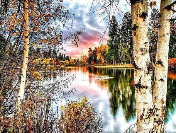 Diamond Painting, Birken und See