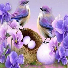Laden Sie das Bild in den Galerie-Viewer, Diamond Painting, Vögel und Eier