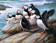 Laden Sie das Bild in den Galerie-Viewer, Diamond Painting, Vögel am Meer