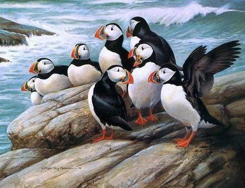 Diamond Painting, Vögel am Meer