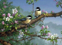 Laden Sie das Bild in den Galerie-Viewer, Diamond Painting, Vögel auf einem blühenden Zweig