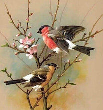 Laden Sie das Bild in den Galerie-Viewer, Diamond Painting, Vögel auf Ast
