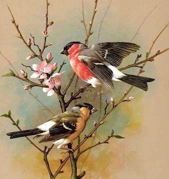 Diamond Painting, Vögel auf Ast
