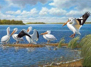 Diamond Painting, Vögel auf dem See